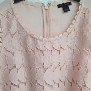 Ann Taylor Pink Lace Women's Top